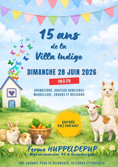 Affiche des 15 ans de la Villa Indigo